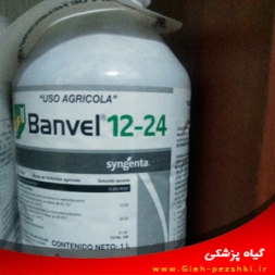 علفكش انتخابي دايكامبا (بنول) علفكش انتخابي دايكامبا (بنول)