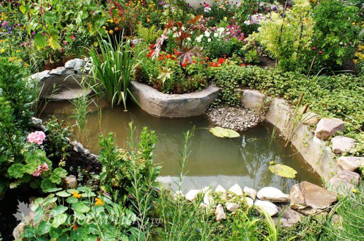 کاشت گیاه در درز شکاف های سنگ کاشت گیاه در درز شکاف های سنگ