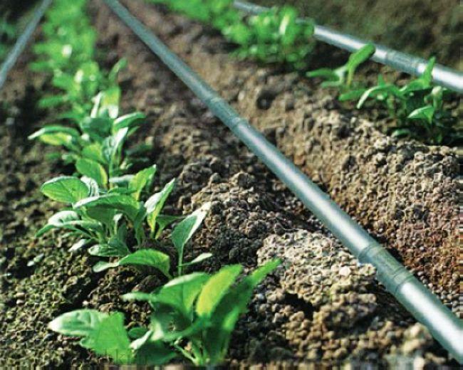 مشکلات آبیاری قطره ای و راه حل های آن مشکلات آبیاری قطره ای و راه حل های آن