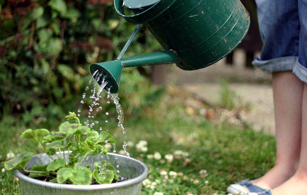 از چه آبی برای آبیاری استفاده کنیم؟بهترین آب برای آبیاری گیاهان - گیاه پزشکی