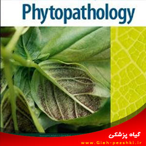 مکانیسم های گسترده بودن دامنه میزبانی پاتوژنز نروتروفیک در Sclerotinia sclerotiorum مکانیسم های گسترده بودن دامنه میزبانی پاتوژنز نروتروفیک در Sclerotinia sclerotiorum