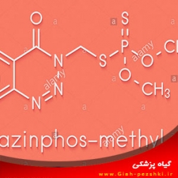 کنه کش و حشره کش قوی آزینفوس متیل (گوزاتیون –ام) کنه کش و حشره کش قوی آزینفوس متیل (گوزاتیون –ام)