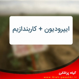 معرفی قارچ کش مختلط ايپروديون + كاربندازيم معرفی قارچ کش مختلط ايپروديون + كاربندازيم