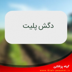 حشره کش و موش کش فسفيد منيزيم (دگش پليت) حشره کش و موش کش فسفيد منيزيم (دگش پليت)