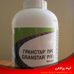 علفکش انتخابي تری بنورون متيل (گرانستار) علفکش انتخابي تری بنورون متيل (گرانستار)