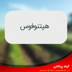 حشره کش سیستمیک هپتنوفوس (هوستاكوئيك) حشره کش سیستمیک هپتنوفوس (هوستاكوئيك)