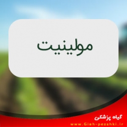 علف کش انتخابی و سیستمیک مولينيت (اردرام ) علف کش انتخابی و سیستمیک مولينيت (اردرام )