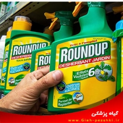 علف کش غیرانتخابی سیستمیک گليفوسيت (راندآپ) علف کش غیرانتخابی سیستمیک گليفوسيت (راندآپ)
