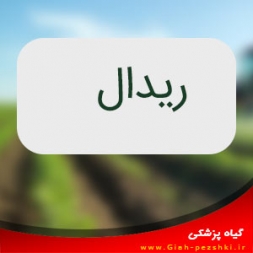 موش کش گوارشی فسفايد زينگ (روتال) موش کش گوارشی فسفايد زينگ (روتال)