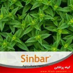 علفکش انتخابي سیستمیک ترباسيل (سينبار) علفکش انتخابي سیستمیک ترباسيل (سينبار)