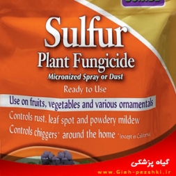 قارچ کش و کنه کش تماسی غیر سیستمیک سولفور قارچ کش و کنه کش تماسی غیر سیستمیک سولفور