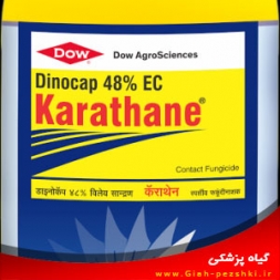 قارچكش و كنهكش غير سيستميك دینوکاپ (كاراتان) قارچكش و كنهكش غير سيستميك دینوکاپ (كاراتان)