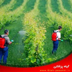 انواع فرمولاسیون مهم سموم کشاورزی انواع فرمولاسیون مهم سموم کشاورزی