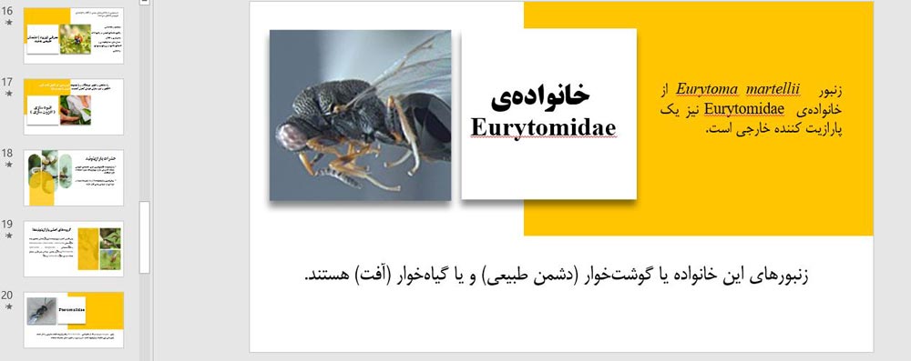 فایل پاورپوینت شناسایی و معرفی حشرات موثر در کنترل بیولوژیک
