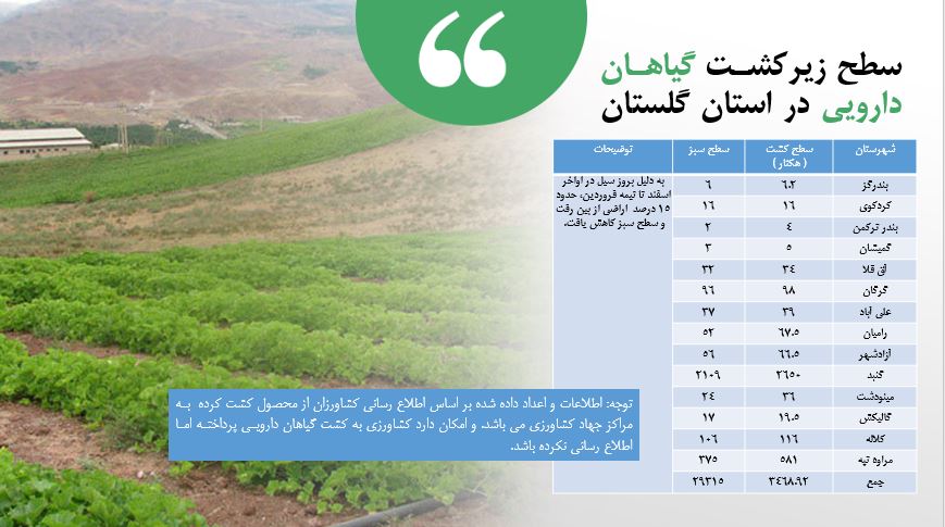 پاورپوینت آماده آموزشی گیاهان دارویی در استان گلستان