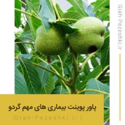فایل پاورپوینت آماده بیماری های مهم درخت گردو فایل پاورپوینت آماده بیماری های مهم درخت گردو