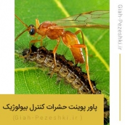 فایل پاورپوینت شناسایی و معرفی حشرات موثر در کنترل بیولوژیک فایل پاورپوینت شناسایی و معرفی حشرات موثر در کنترل بیولوژیک