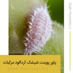 فایل پاورپوینت آماده شپشک آردآلود مرکبات Planococcus Citri فایل پاورپوینت آماده شپشک آردآلود مرکبات Planococcus Citri