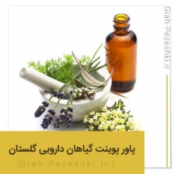 پاورپوینت آماده آموزشی گیاهان دارویی در استان گلستان پاورپوینت آماده آموزشی گیاهان دارویی در استان گلستان
